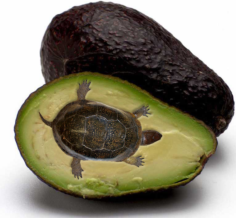 Photoshop-Design von godzillatemple für DesignCrowd (Community Contests) | Design #9110473