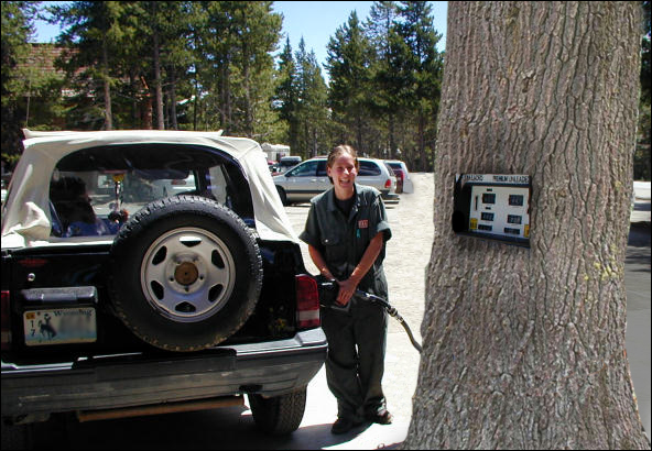 Diseño de Photoshop por cinoponic para DesignCrowd (Community Contests) | Diseño #9110488