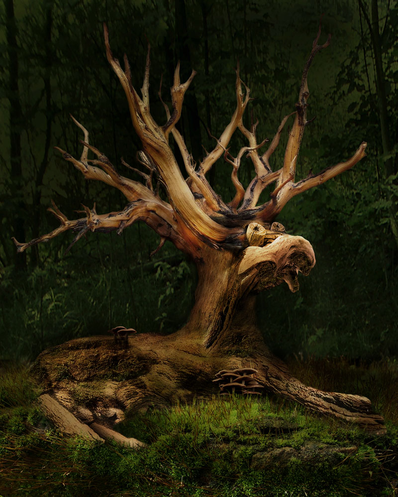 Photoshop Design by Norrit for DesignCrowd (Community Contests) | Design #9110579