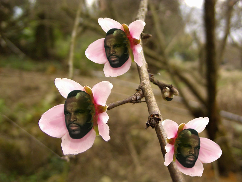 Photoshop Design by cranberryzero for DesignCrowd (Community Contests) | Design #9110539