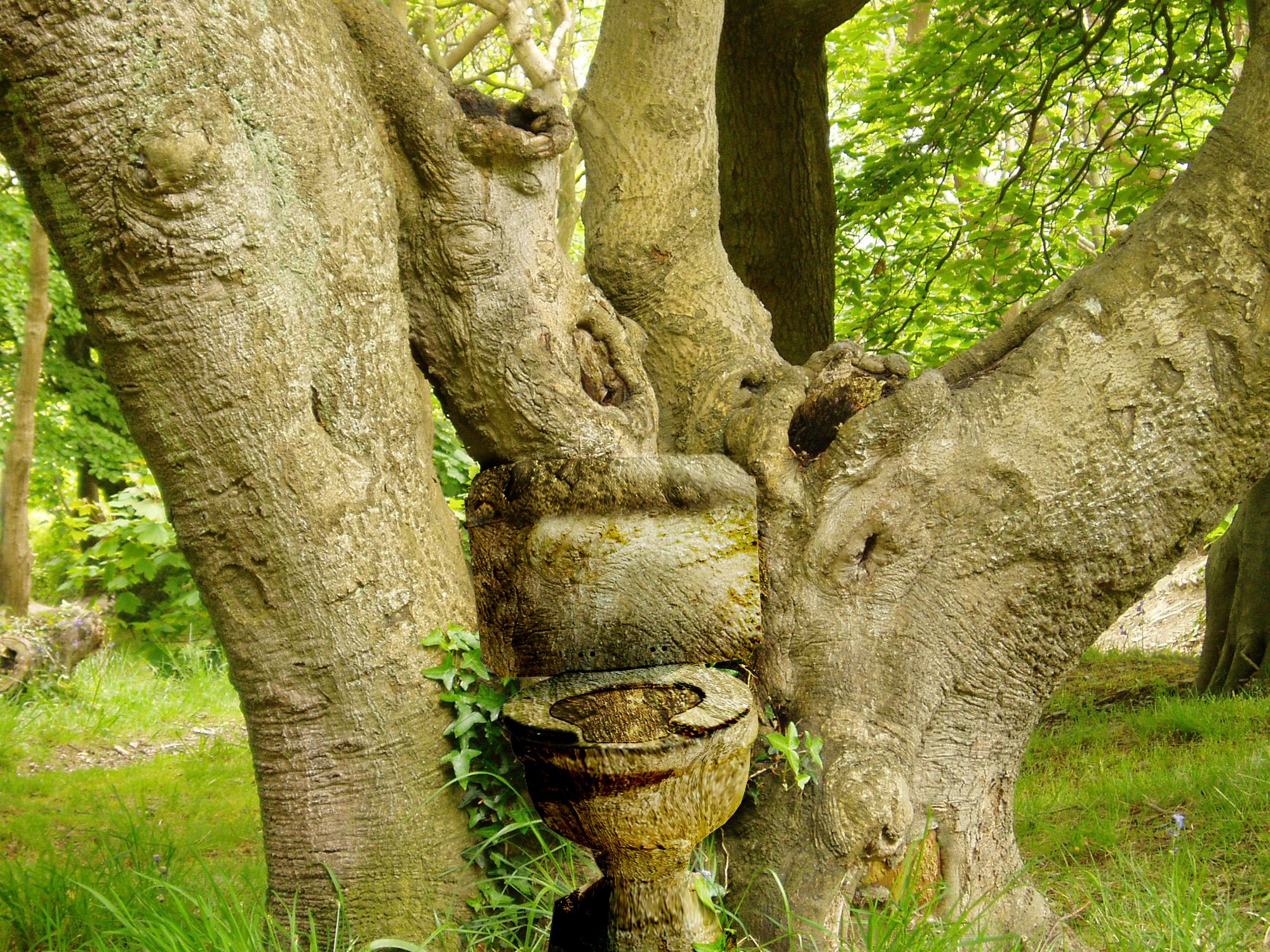 Photoshop Design by MrDectol for DesignCrowd (Community Contests) | Design #9110586