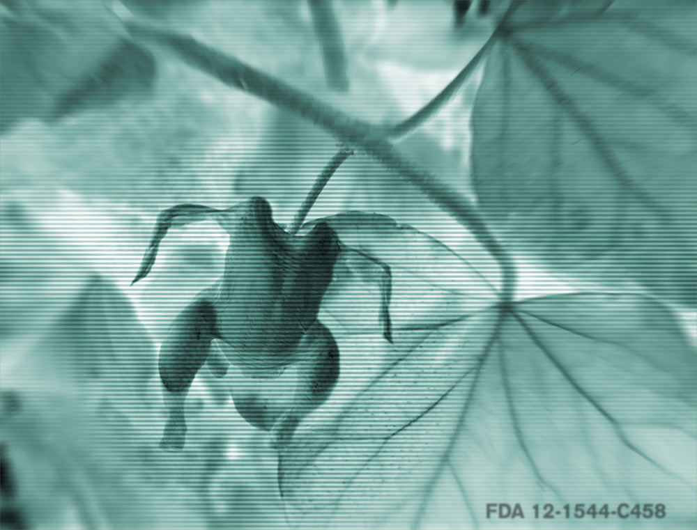 Photoshop-Design von patoloco für DesignCrowd (Community Contests) | Design #9110662