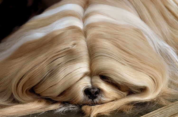 Photography by branie for DesignCrowd (Community Contests) | Design #9112300