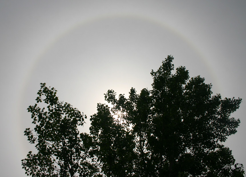 Fotografía por Roick para DesignCrowd (Community Contests) | Diseño #9112288