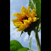 Photography by treebloke