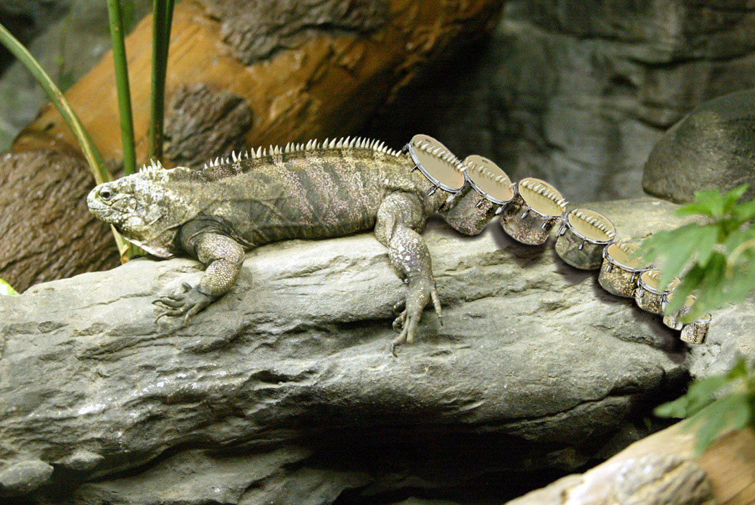 Photoshop Design by Nesehehame for DesignCrowd (Community Contests) | Design #9110461