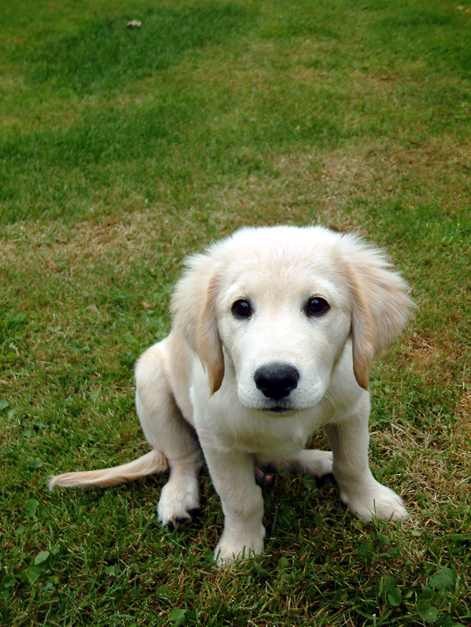 Photographie par vintagedept pour DesignCrowd (Community Contests) | Design #9112499