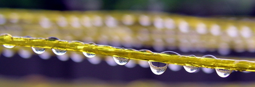 Fotografía por zygaya para DesignCrowd (Community Contests) | Diseño #9112584