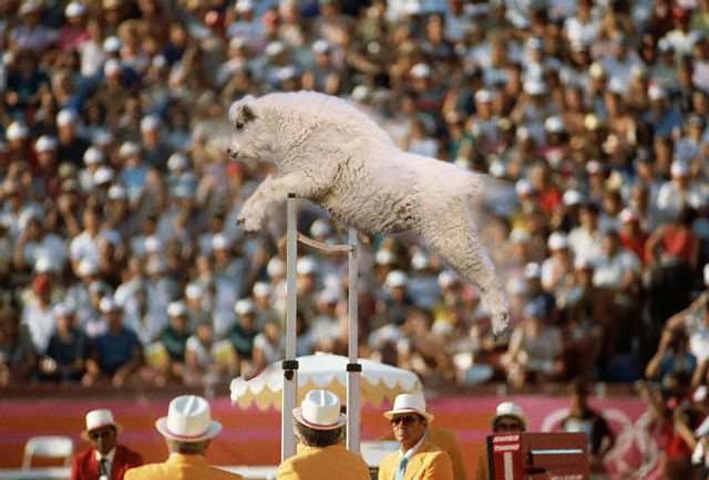 Design Photoshop par surendrasawant pour DesignCrowd (Community Contests) | Design #9096377