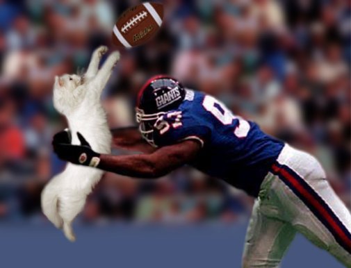 Photoshop Design by ianpostiecrew for DesignCrowd (Community Contests) | Design #9096384