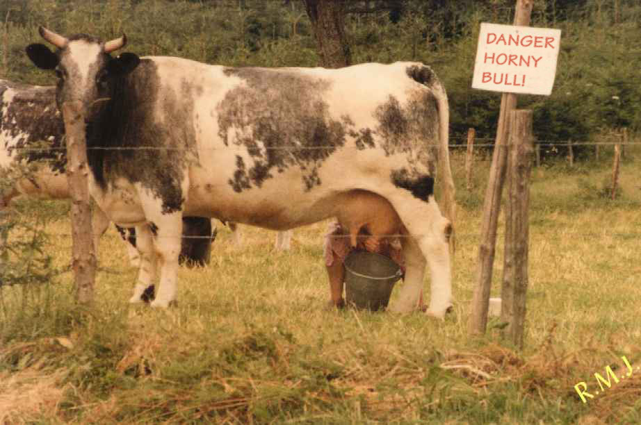 Photoshop Design by ThaDux for DesignCrowd (Community Contests) | Design #9112630