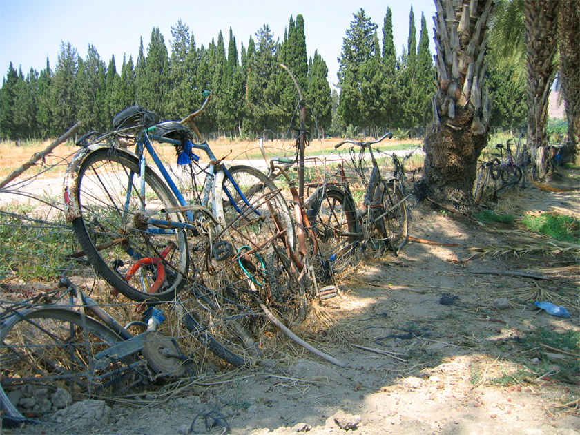 Photography by Netali for DesignCrowd (Community Contests) | Design #9108863