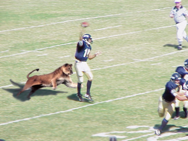 Diseño de Photoshop por vanormer para DesignCrowd (Community Contests) | Diseño #9096575