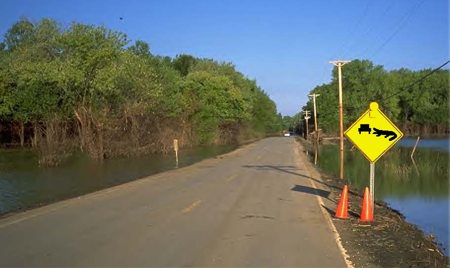 Photoshop-Design von whitegold für DesignCrowd (Community Contests) | Design #9113031