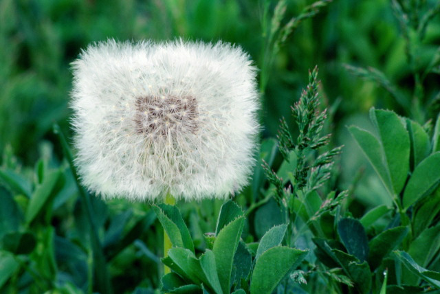 Photoshop Design by Pioner for DesignCrowd (Community Contests) | Design #9110572