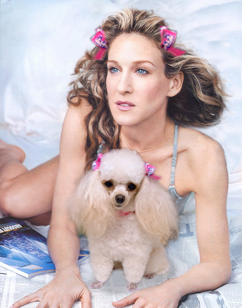 Photoshop Design by dangen for DesignCrowd (Community Contests) | Design #9112520