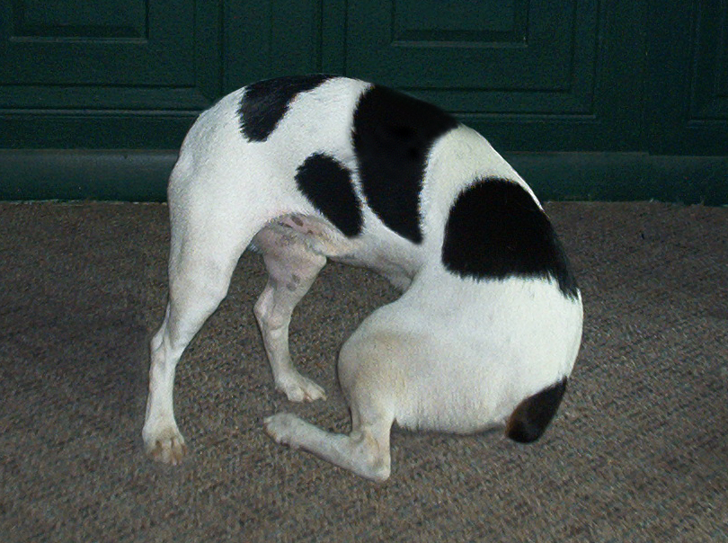 Photoshop-Design von dellville für DesignCrowd (Community Contests) | Design #9112836