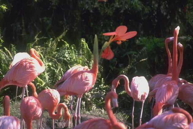 Photoshop Design by ianpostiecrew for DesignCrowd (Community Contests) | Design #9113003