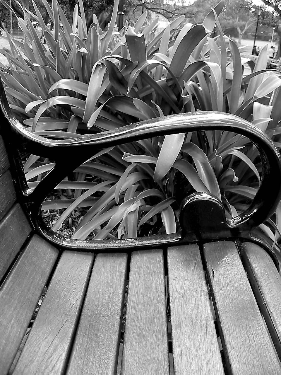 Fotografie von gbur für DesignCrowd (Community Contests) | Design #9088425