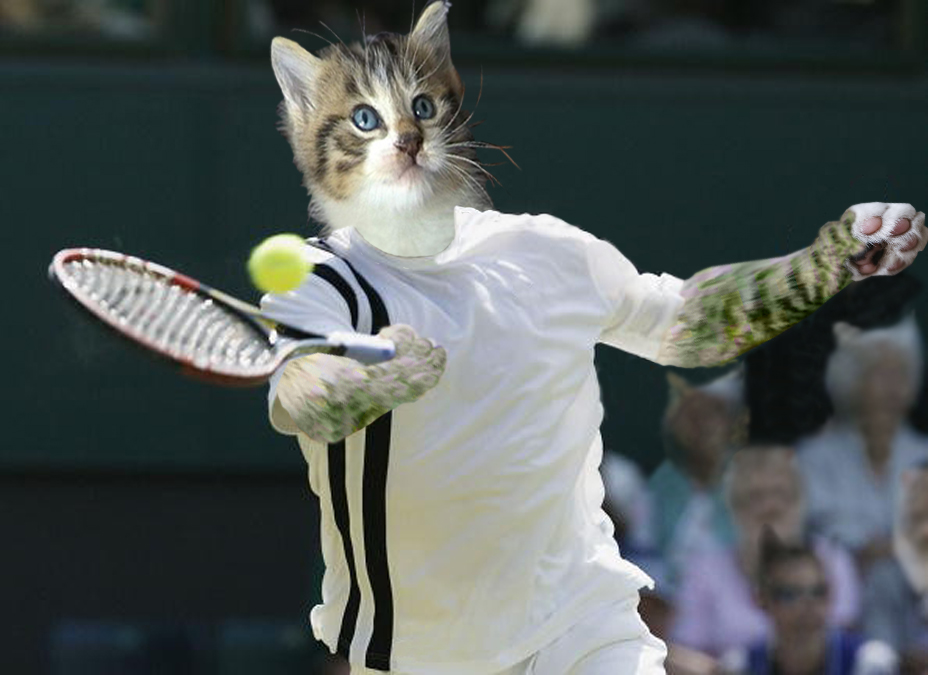 Photoshop Design by Tiiboy for DesignCrowd (Community Contests) | Design #9095598