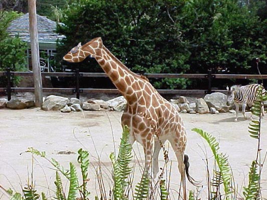 Photoshop-Design von maho35 für DesignCrowd (Community Contests) | Design #9112999