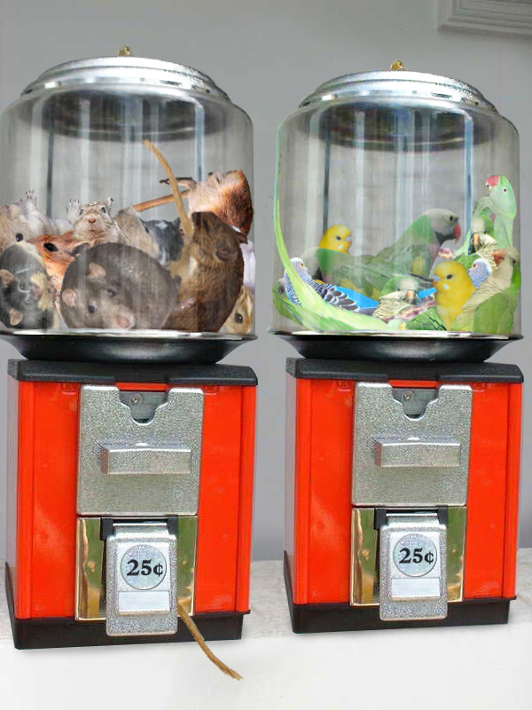 Diseño de Photoshop por godzillatemple para DesignCrowd (Community Contests) | Diseño #9095596