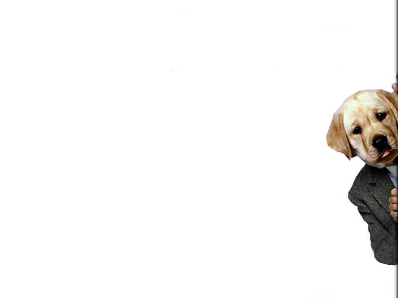 Photoshop-Design von absguft für DesignCrowd (Community Contests) | Design #9112943