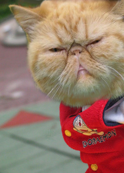 Photoshop Design by freakygenie for DesignCrowd (Community Contests) | Design #9095709