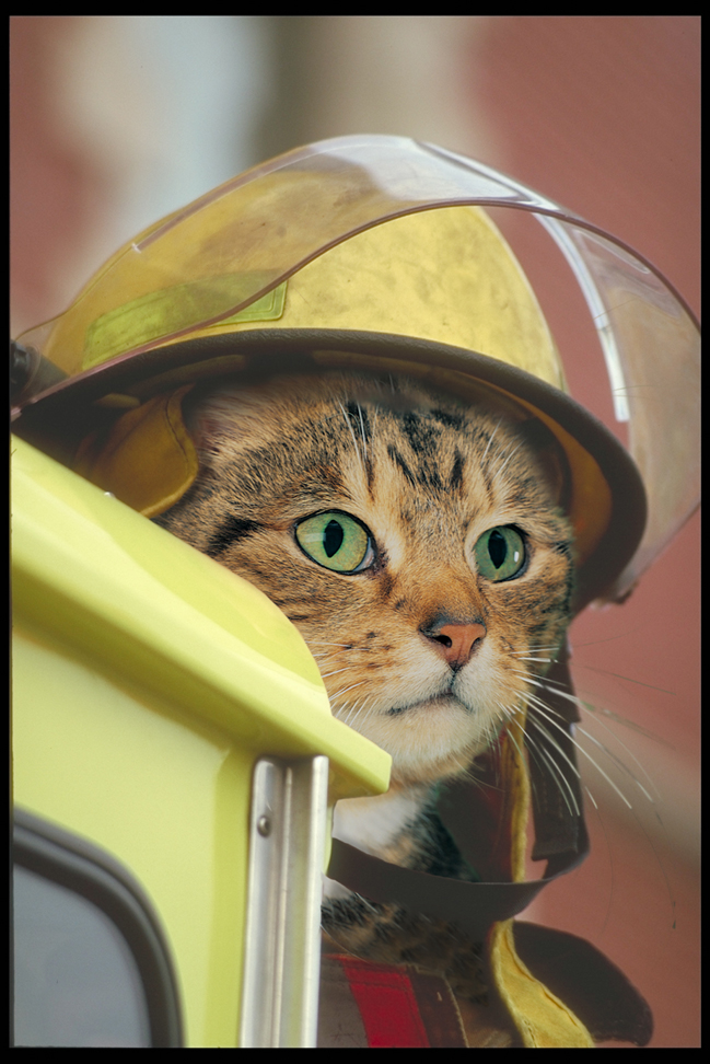 Photoshop Design by breimer for DesignCrowd (Community Contests) | Design #9095649