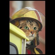 Photoshop Design by breimer