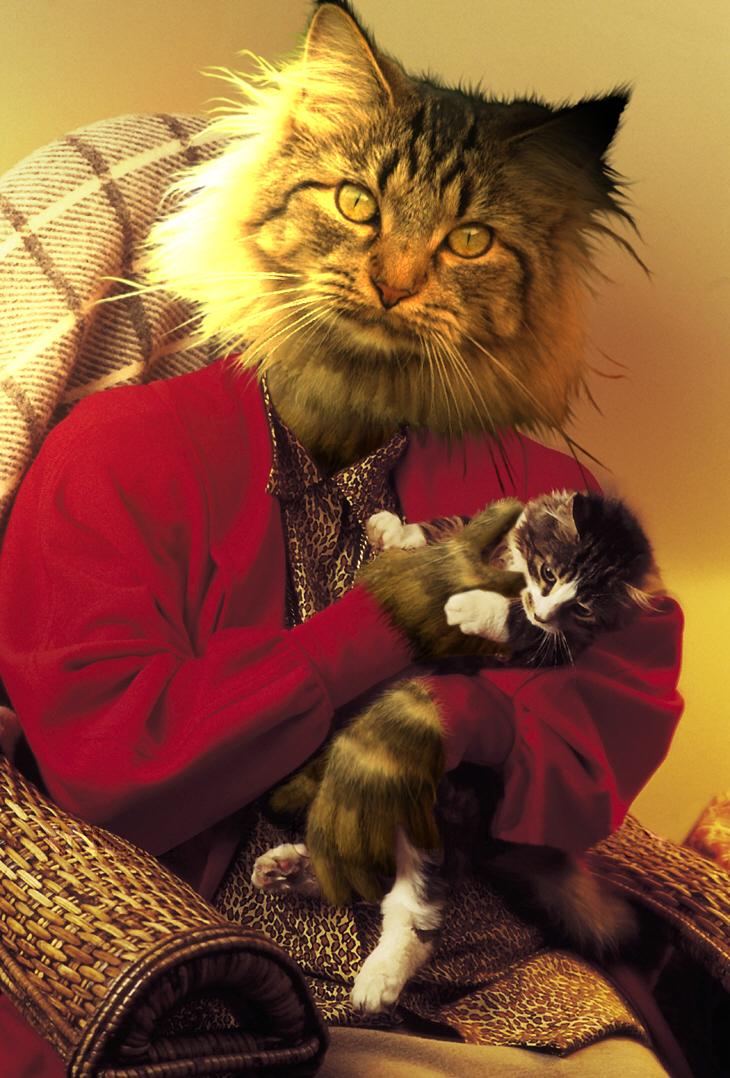 Design Photoshop par surendrasawant pour DesignCrowd (Community Contests) | Design #9095685