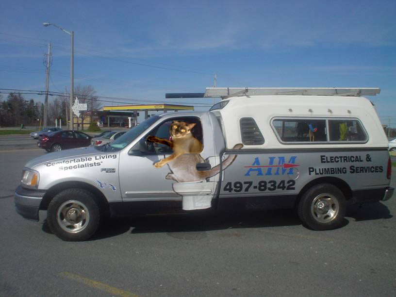 Photoshop-Design von oofmechalfonts für DesignCrowd (Community Contests) | Design #9095643