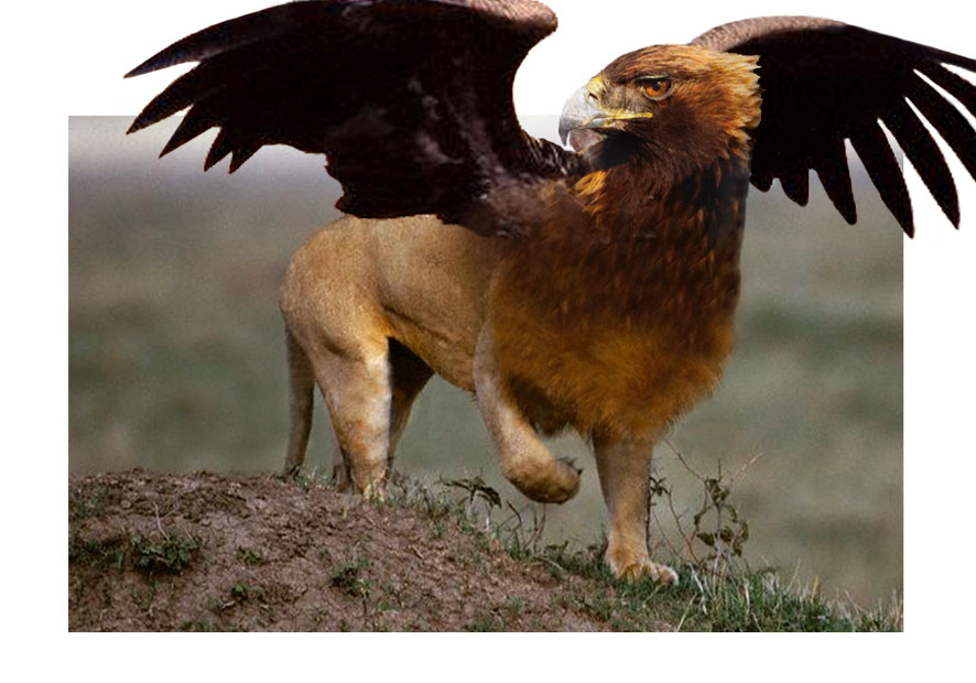 Photoshop Design by jerrib for DesignCrowd (Community Contests) | Design #9095977