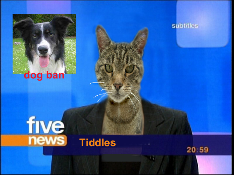 Photoshop Design by sittingduck for DesignCrowd (Community Contests) | Design #9095641