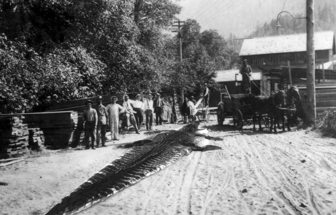 Photoshop-Design von hotweaselsoup für DesignCrowd (Community Contests) | Design #9096054