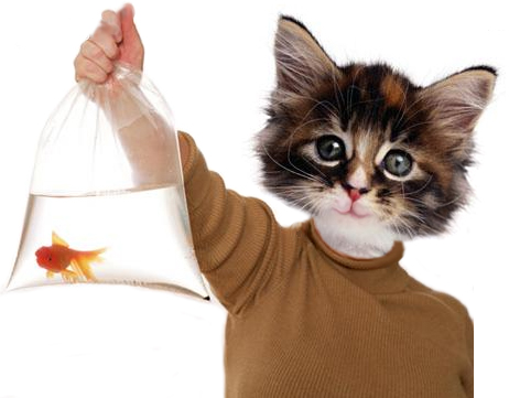 Photoshop Design by sofizz for DesignCrowd (Community Contests) | Design #9095702