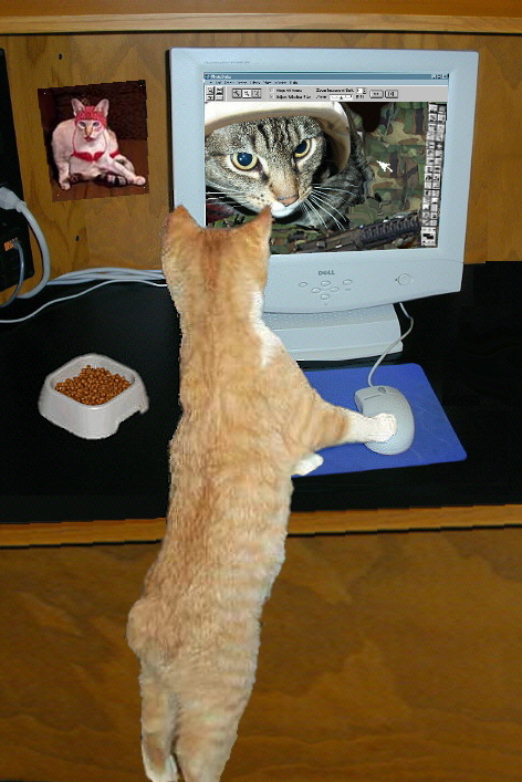 Photoshop-Design von JAM für DesignCrowd (Community Contests) | Design #9095728