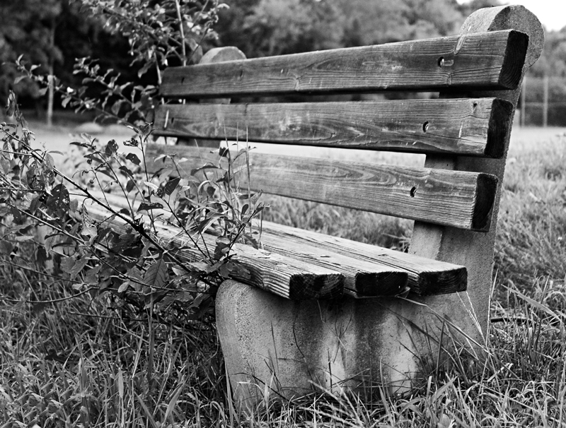 Photography by squeakers for DesignCrowd (Community Contests) | Design #9088646