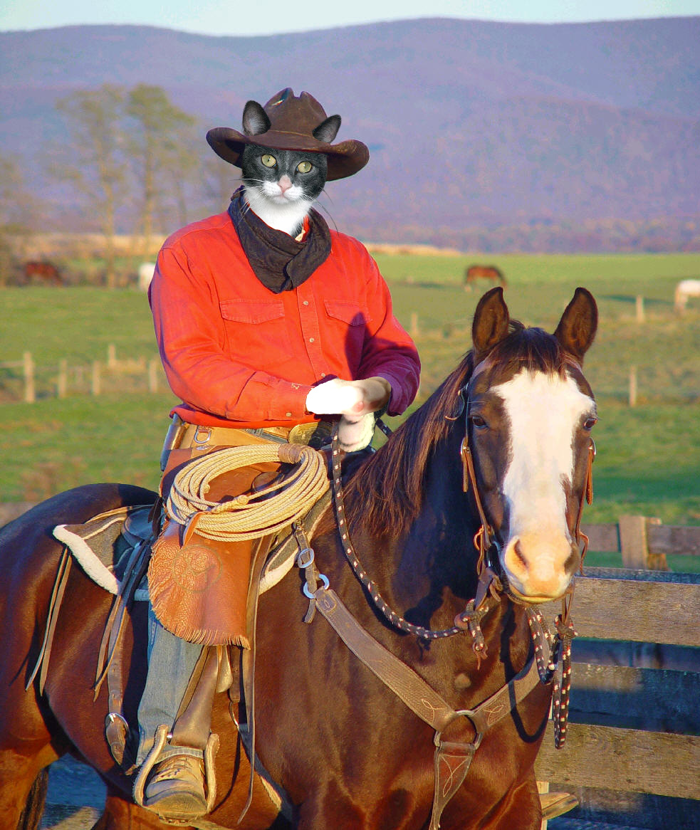 Photoshop Design by pazmania for DesignCrowd (Community Contests) | Design #9095794