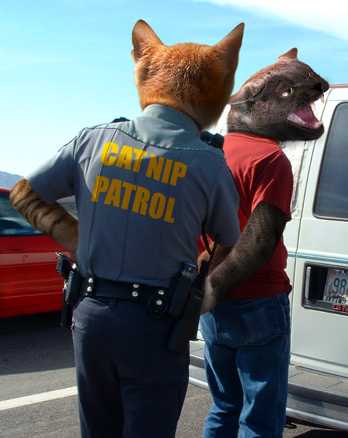 Photoshop Design by axwear for DesignCrowd (Community Contests) | Design #9095744