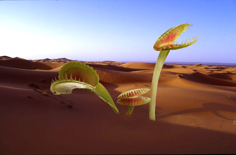 Design Photoshop par GrandpaPorridge pour DesignCrowd (Community Contests) | Design #9096078