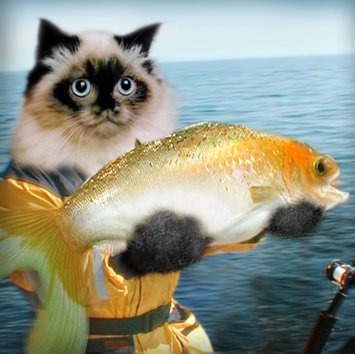 Photoshop-Design von blueorb für DesignCrowd (Community Contests) | Design #9095751