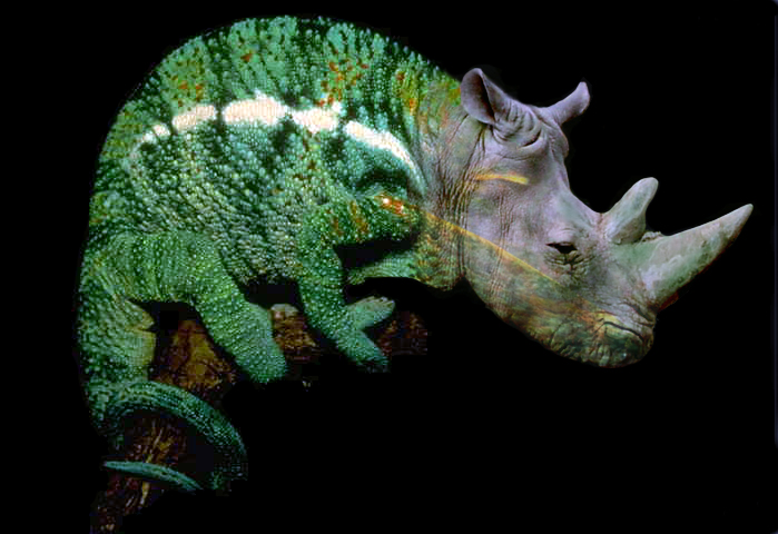 Photoshop Design by RanLar for DesignCrowd (Community Contests) | Design #9096212