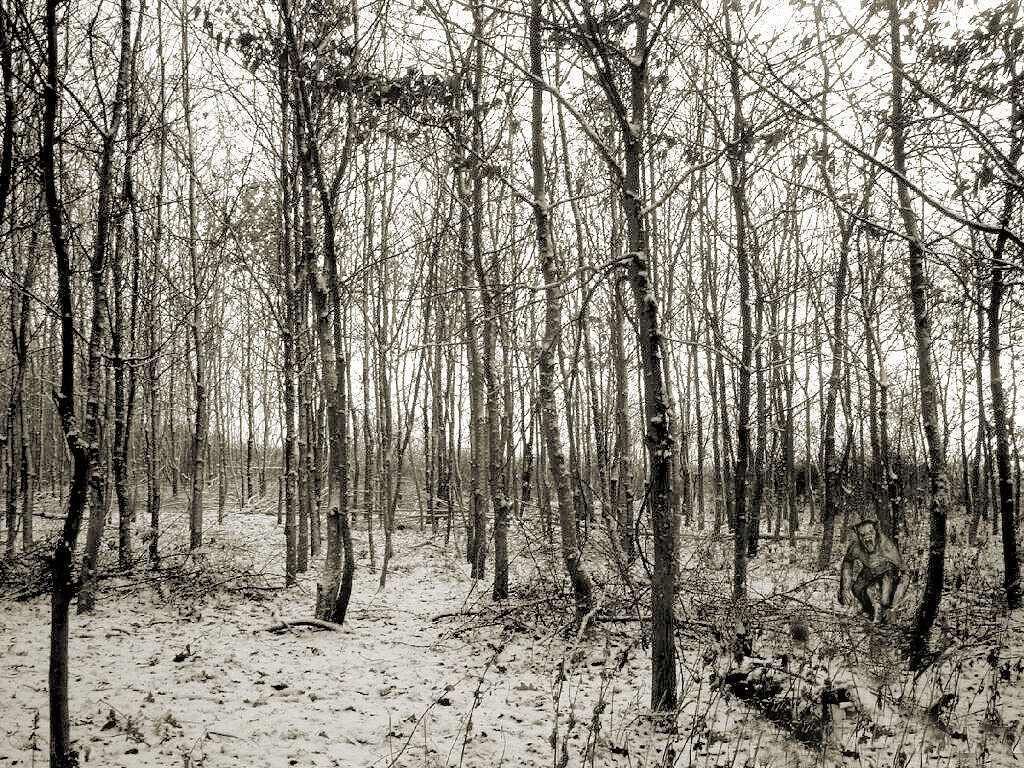 Diseño de Photoshop por scotty711 para DesignCrowd (Community Contests) | Diseño #9096273