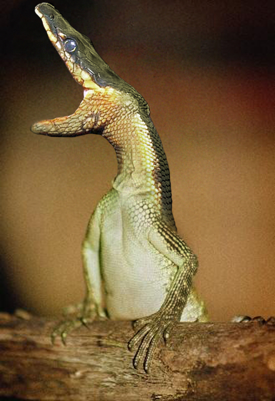 Photoshop Design by srinoo for DesignCrowd (Community Contests) | Design #9096182