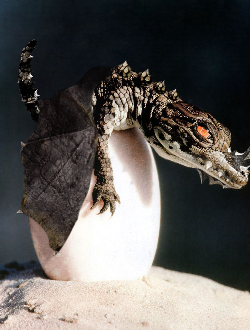 Diseño de Photoshop por billybadass para DesignCrowd (Community Contests) | Diseño #9096202