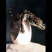 Photoshop Design by billybadass