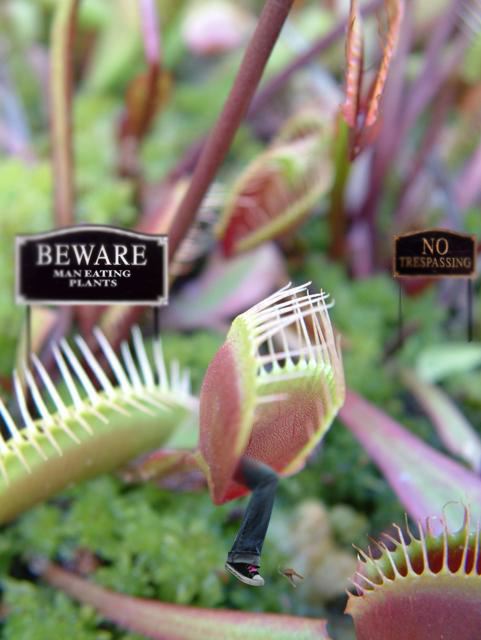 Photoshop Design by Cornstarr for DesignCrowd (Community Contests) | Design #9096361