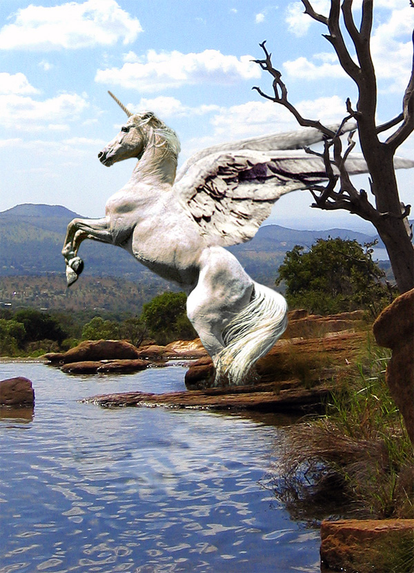 Design Photoshop par robster pour DesignCrowd (Community Contests) | Design #9096323