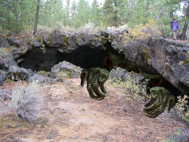 Diseño de Photoshop por godzillatemple para DesignCrowd (Community Contests) | Diseño #9096347